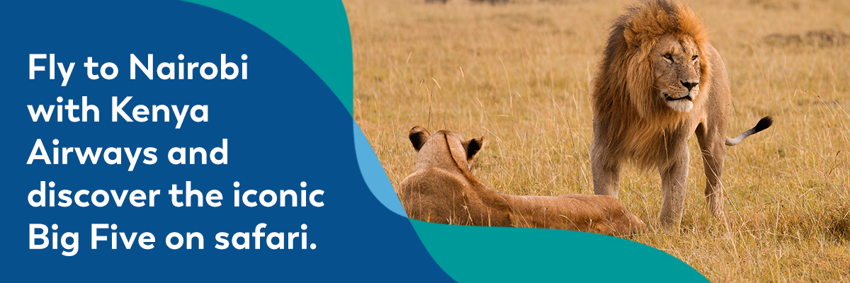 Fly to Nairobi with Kenya Airways and discover the iconic Big Five on safari