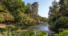 Image showing lake in Leonardslee Gardens, West Sussex