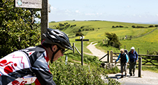 Image showing cyclists in local countryside