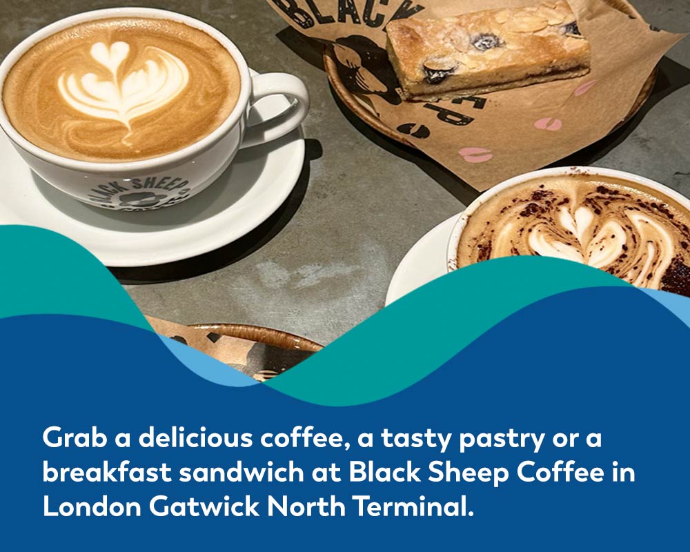 Banner image showing coffees and a pastry at Black Sheep Coffee