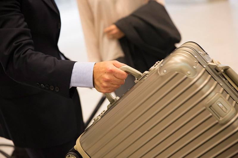 Gatwick Garment Bag - Monogram Stripe